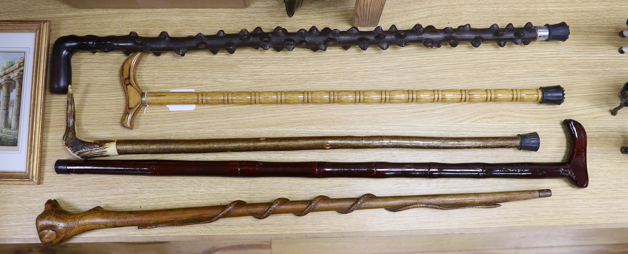 First World War trench art - a carved dog's head walking cane marked 'Somme 1916' and four others